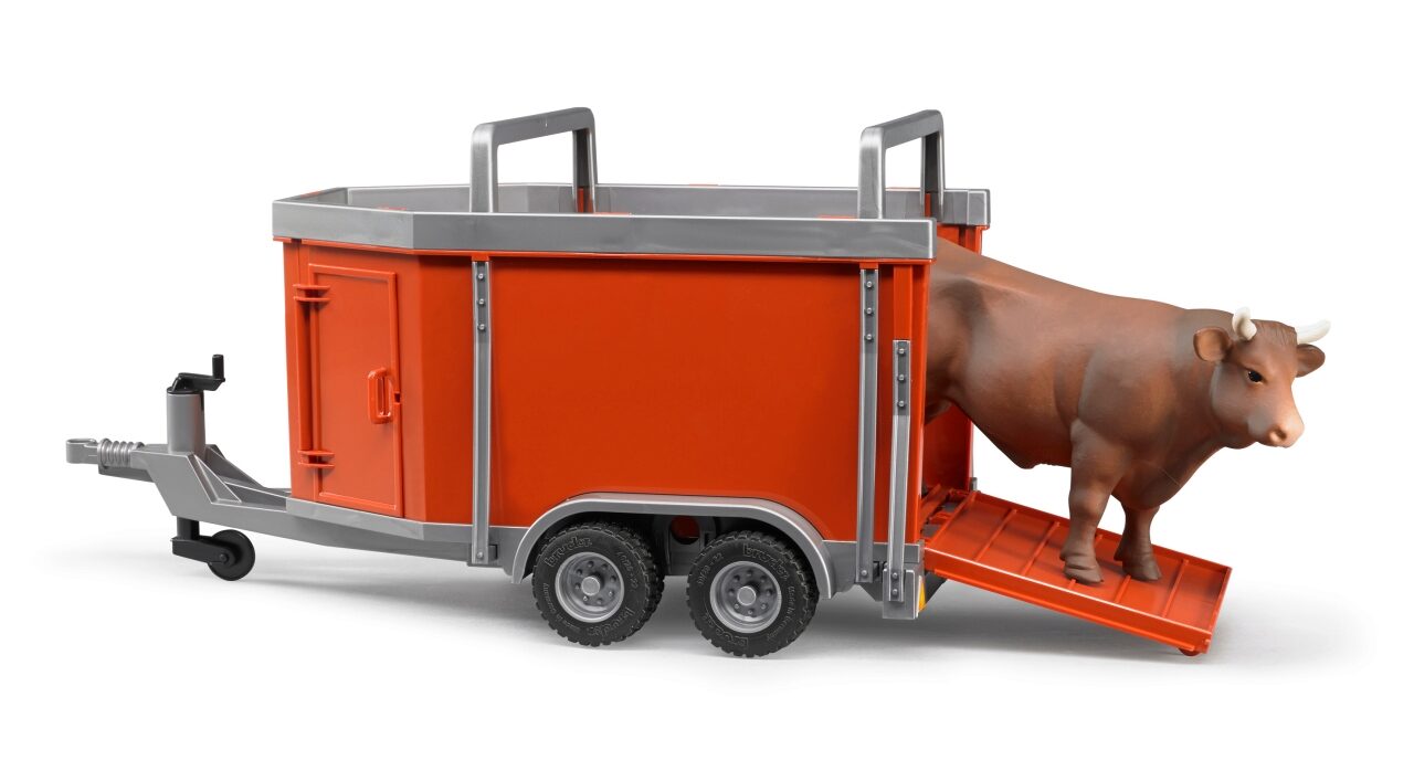 Viehanhänger mit 1 Rind